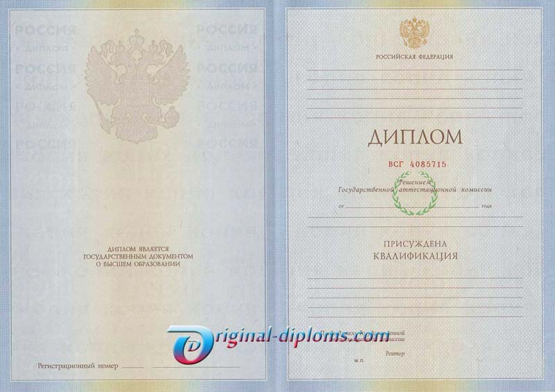 Диплом специалиста 2009-2011