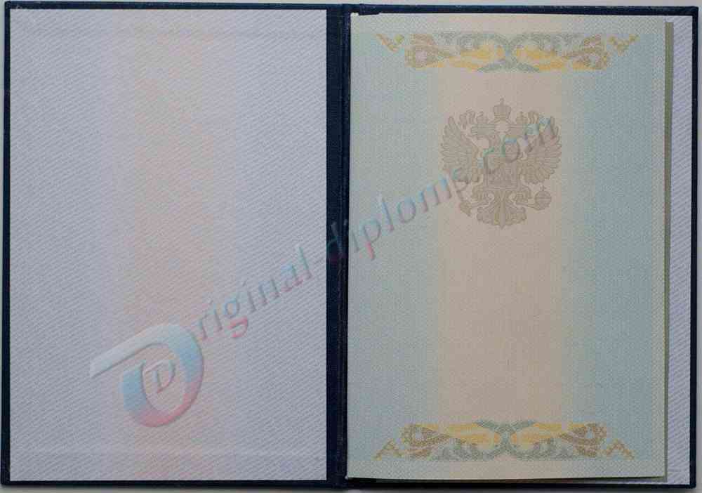 Диплом бакалавра 2004-2009